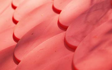 Sparrows Green plastic roof costs